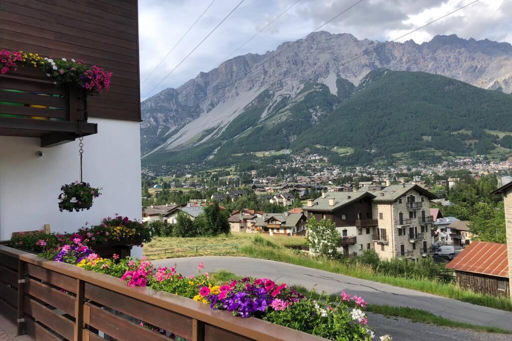 Appartamento A Due Passi Da Bormio فالديسوتو المظهر الخارجي الصورة